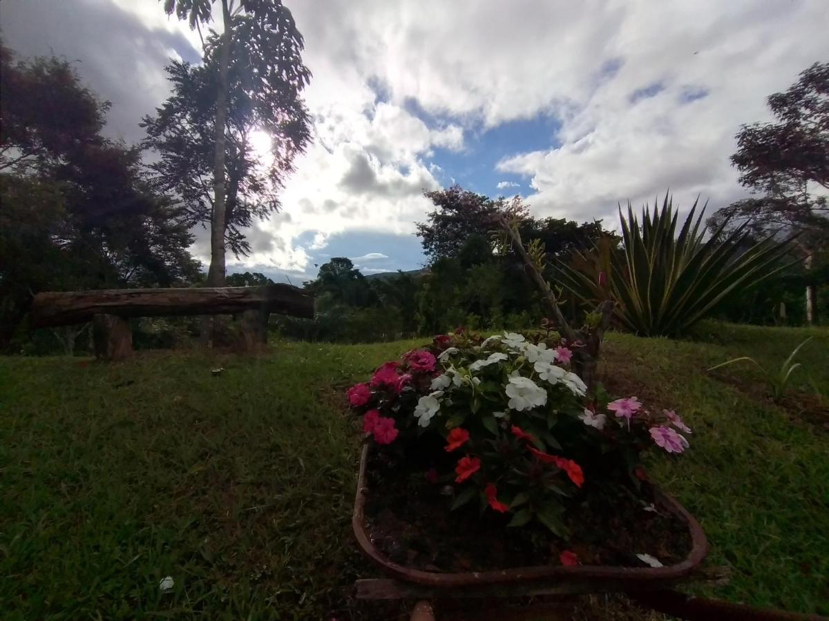 Pouso Da Siriema - Villa Bizuca 蒂拉登特斯 外观 照片